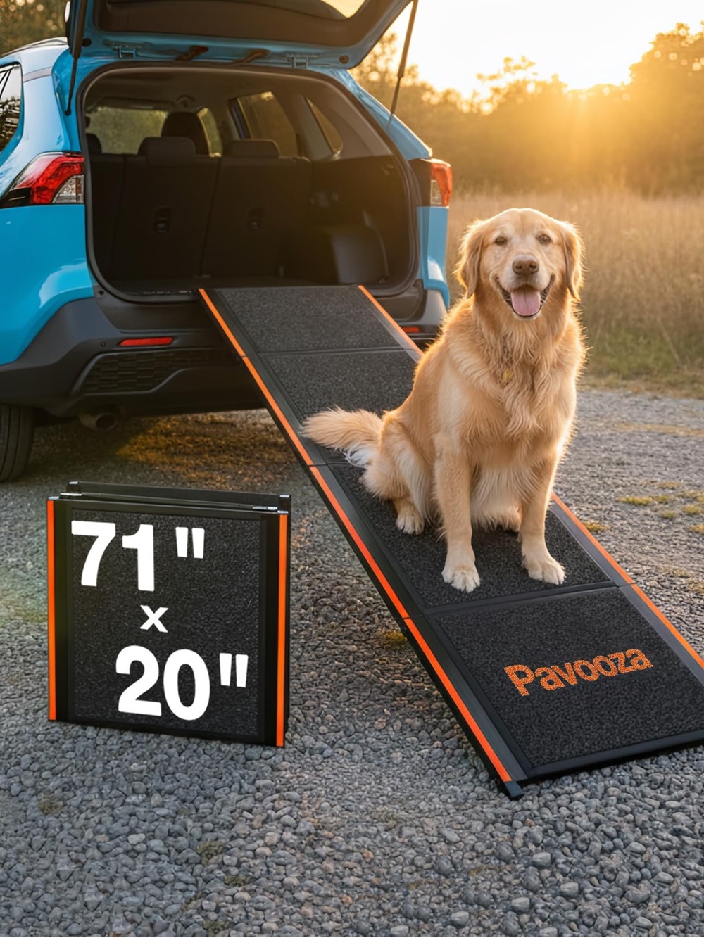 Portable Dog Ramp - Orange & Black